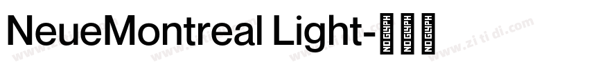 NeueMontreal Light字体转换